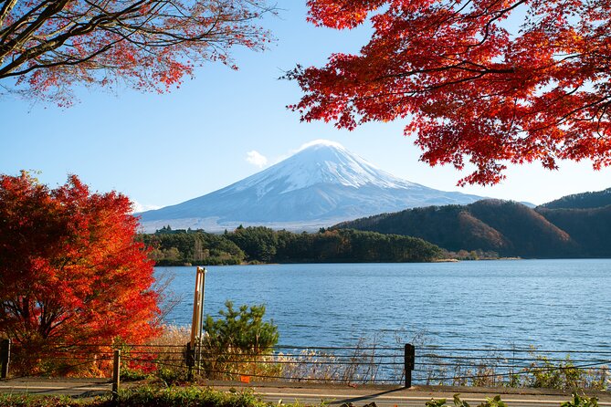 Small Group Tour Mount Fuji and Lake Kawaguchi from Tokyo - Fujiyoshida lunch and souvenir time that actually fits the schedule