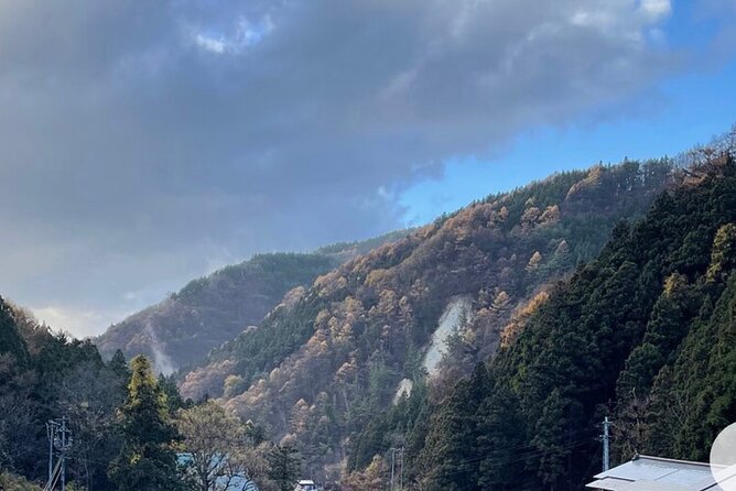 Snow Monkey Nagano Day Tour by Car English Driver in Person Guide - Price and Value: What $788.35 Covers for Up to 6