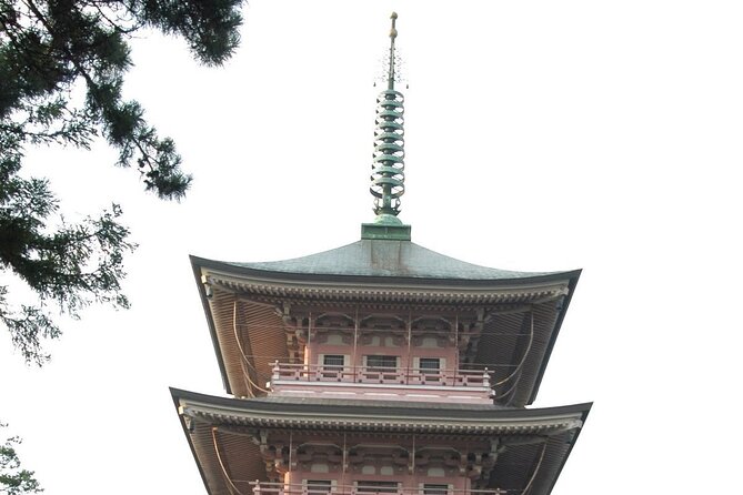 Snow Monkey Park & Zenkoji Temple Nagano Pvt. Full Day Tour. - Enza Café and ramen stop: where you refuel without derailing the day
