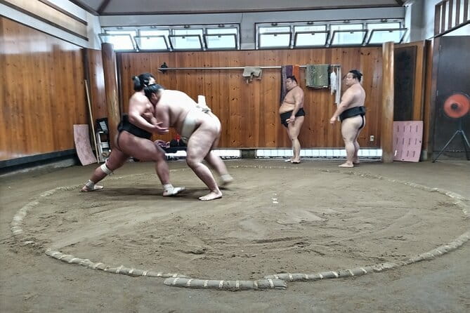 Sumo Practice Viewing Guided Tour and Photo with Sumo Wrestlers - What you’re likely to see during training (and why it may feel quiet)