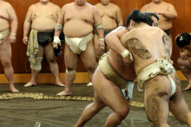 Sumo Training Watching Experience in Tokyo - Key Highlights You’ll Care About