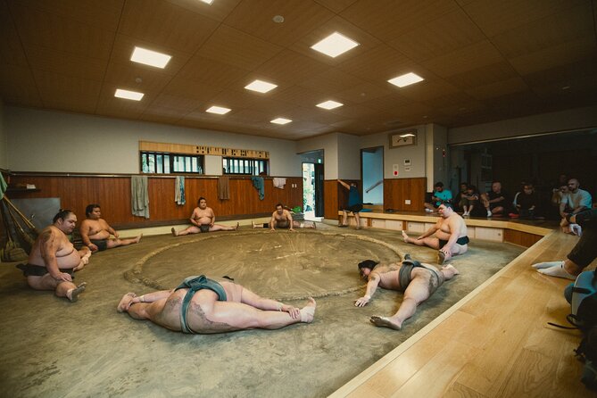 Sumo Wrestlers Morning Practice Tour – Tokyo Sumida District - The Guide Experience: Translation, Explanations, and Q&A