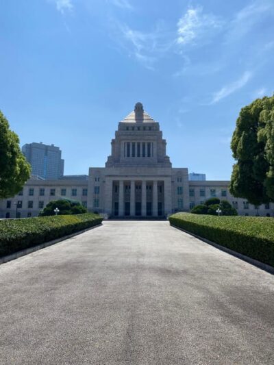 Tameike: Exploring the Heart of Japanese Politics Tour - Stairs, Timing, and What to Watch For During the Diet Visit