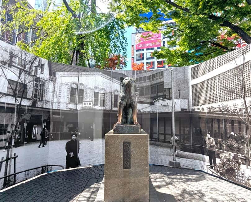 This is Real TOKYO!! SHIBUYA Tour from TGP!! - Cat Street and the old river promenade: Harajuku without the crush