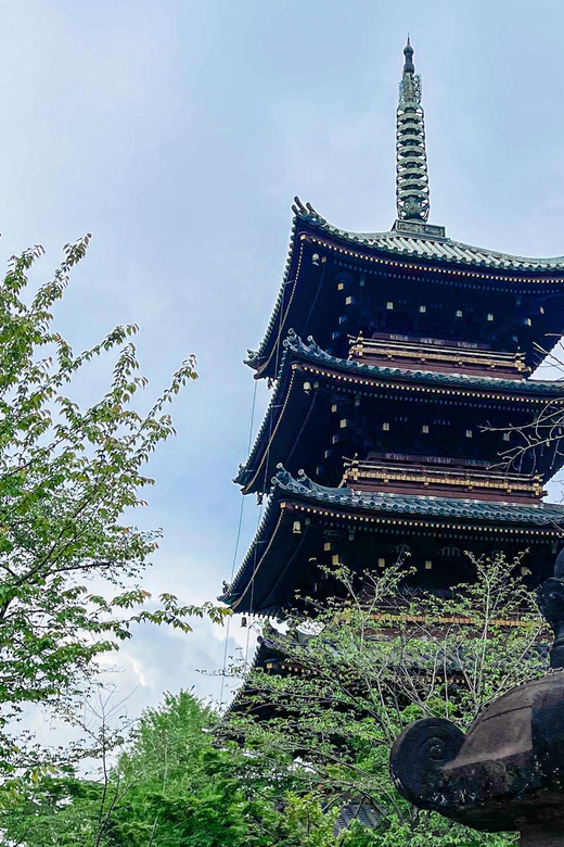 Tokio A: Tour de la ciudad en Español - Spanish - How the 8 hours really works: walking, metro, and a light-pack rule