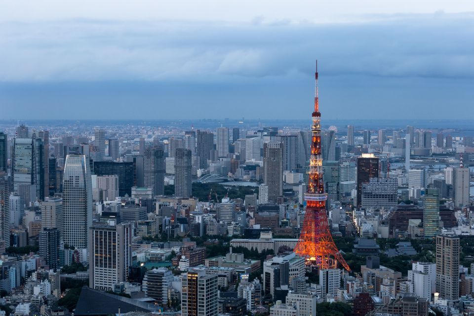 Tokyo: 1-Day Private Customizable Tour by Car - Key takeaways before you go