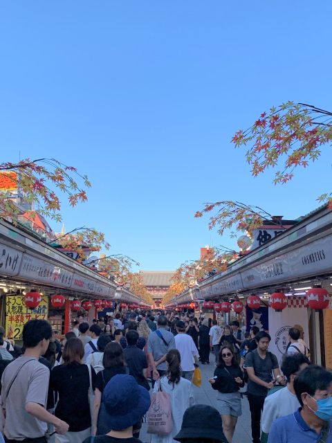 Tokyo: 1-Day Tokyo Private Tailor-made Tour - The default 9:00 AM to 6:00 PM plan, step by step