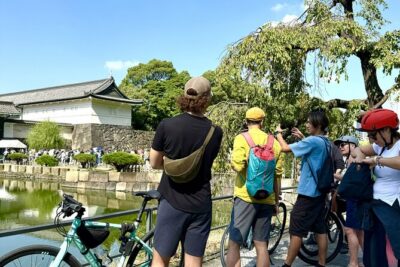 Tokyo 3 Hour E Bike Tour of the City Bayside Areas - The e-bike setup: easy power, real-city riding