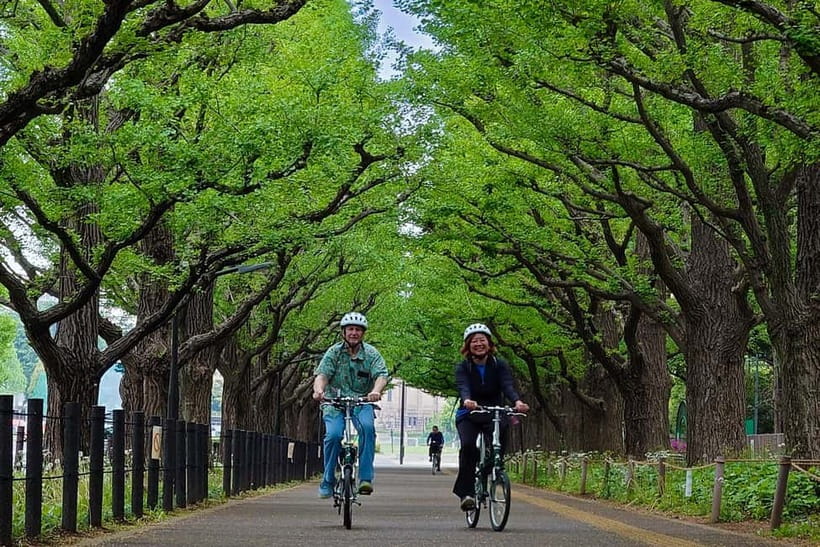 Tokyo: 3h Private E-bike Tours, Starting at Your Hotel - Private Means You Control the Route and the Rhythm