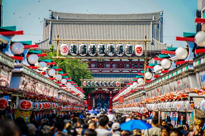 Tokyo 6 hour Tour : English Speaking Driver Only, No Guide - A driver-only private tour in Tokyo: good idea or risky?