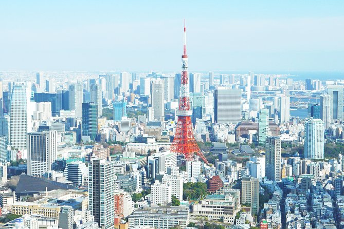 Tokyo 6 hours Customized Private Tour - Logistics that affect how smooth your day feels