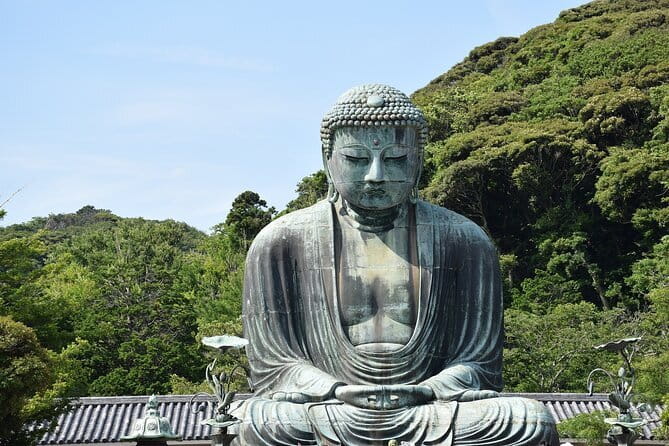 Tokyo 6hr Private Guided Tour & Sumo Show Lunch - Choosing Your 2–3 Stops: Make It Match Your Tokyo Mood