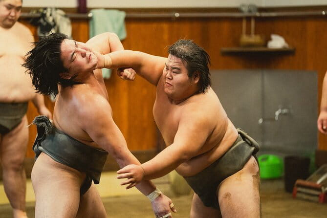 Tokyo 6hr Private Guided Tour & Sumo Show Lunch - Walkable Tokyo Highlights You Can Pick From