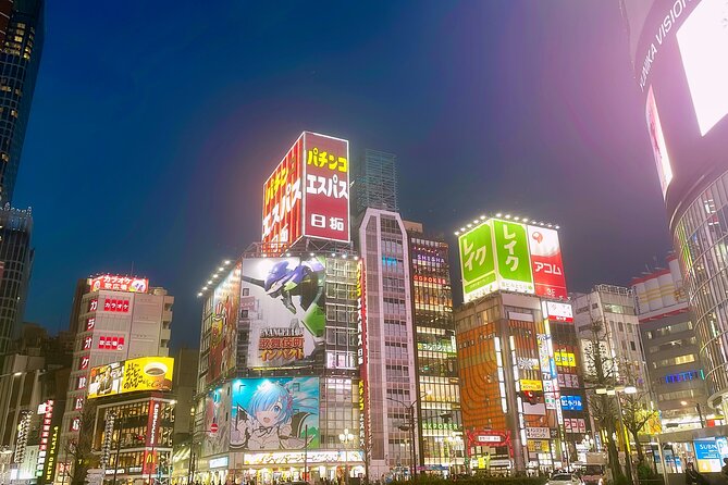 Tokyo After Dark Shinjuku Tour of Tradition and Pop Culture - Kabukicho Walkthrough: Neon Signs, Themed Stops, and Entertainment District Reality