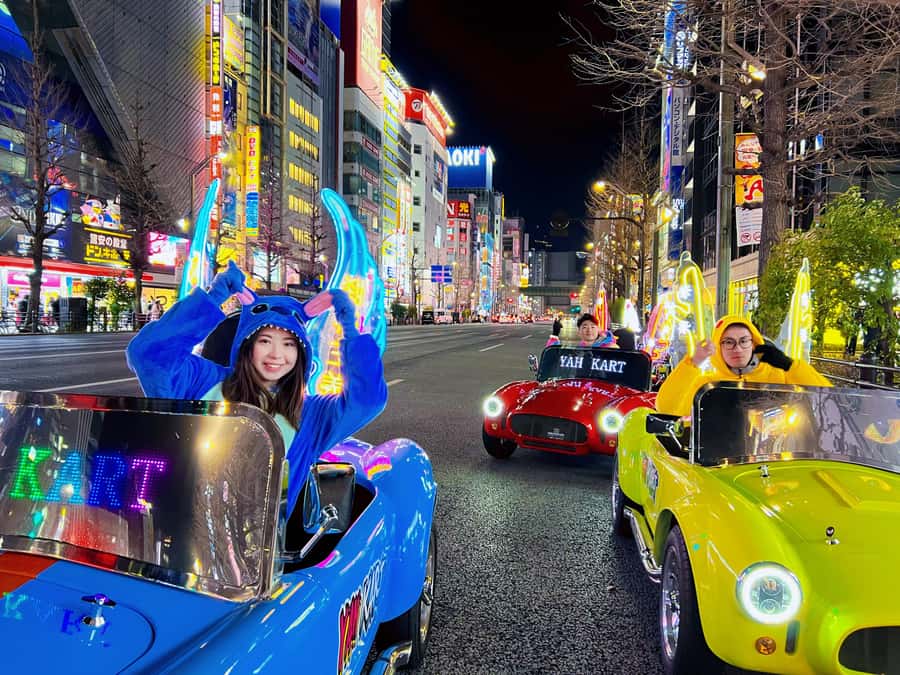 Tokyo: Akihabara/Asakusa Go-Karting Tour (including guide) - Who should book this go-kart tour?