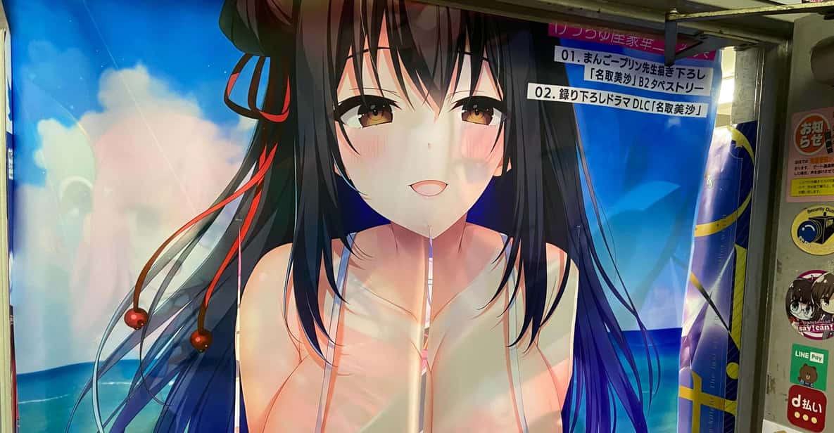 Tokyo: Akihabara Private Hentai Tour - Why Akihabara Needs a Guide (Especially for Adult Pop Culture)