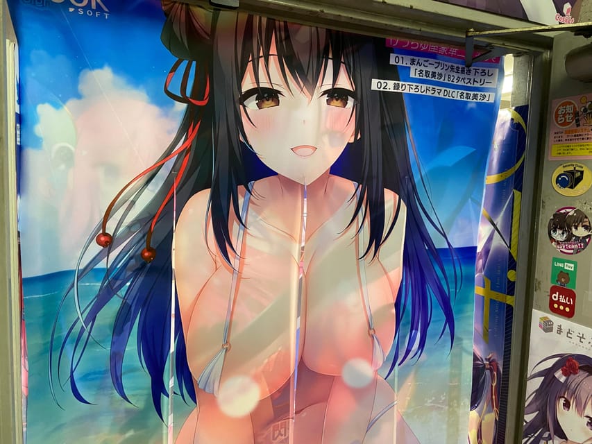 Tokyo: Akihabara Private Hentai Tour - Building Your Own 3-Hour Route Around Games and Manga