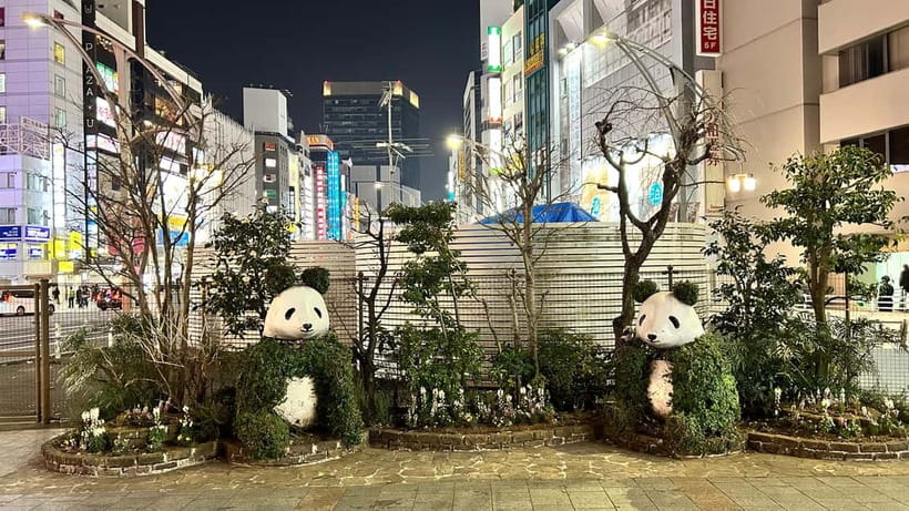 Tokyo: Akihabara, Shibuya, Karaoke & City Lights Night Tour - Neon Night Loop: how this tour fits together