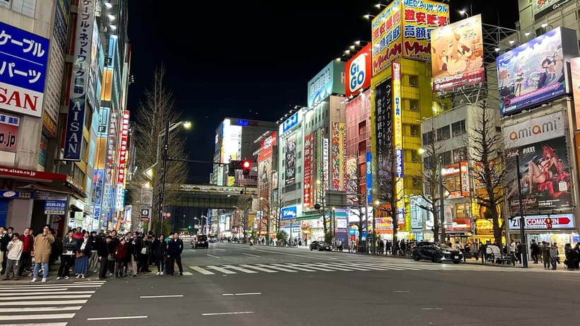 Tokyo: Akihabara, Shibuya, Karaoke & City Lights Night Tour - Price and value for $79: what you’re really paying for