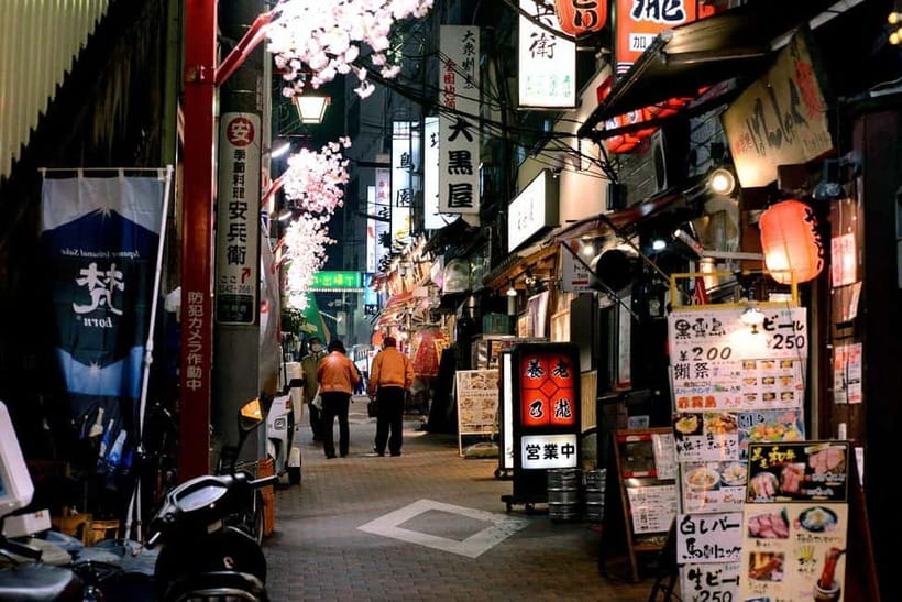 Tokyo: Akihabara, Shibuya, Karaoke & City Lights Night Tour - Tips that make the night smoother (and more fun)