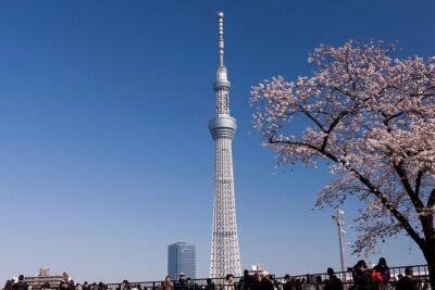 Tokyo Asakusa Half Day Walking Tour with Local Guide - Starting at Asakusa Culture Tourist Information Center and getting your bearings
