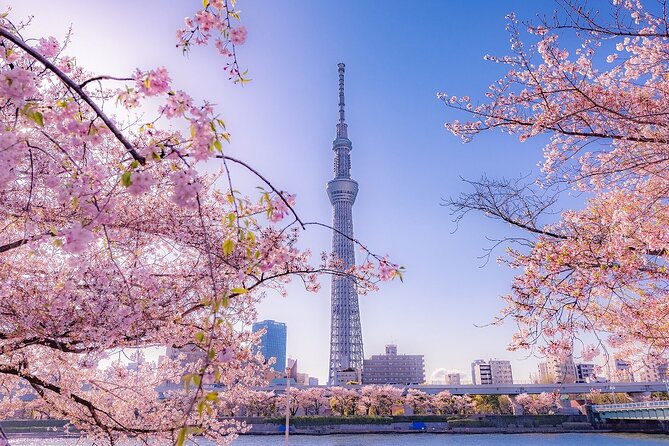 Tokyo Asakusa Half Day Walking Tour with Local Guide - Guides make the difference: Hana, Shino, and Kurumi’s approach