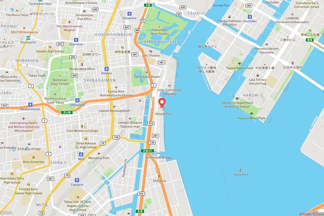 Tokyo Bay Cruise Adventure with options - Who This Cruise Best Fits