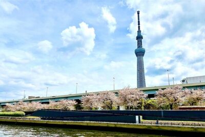 Tokyo Bay Yakatabune Cruise with Traditional JapaneseShow Drinks - The 60-minute route: Toyosuōhashi Bridge and Rainbow Bridge