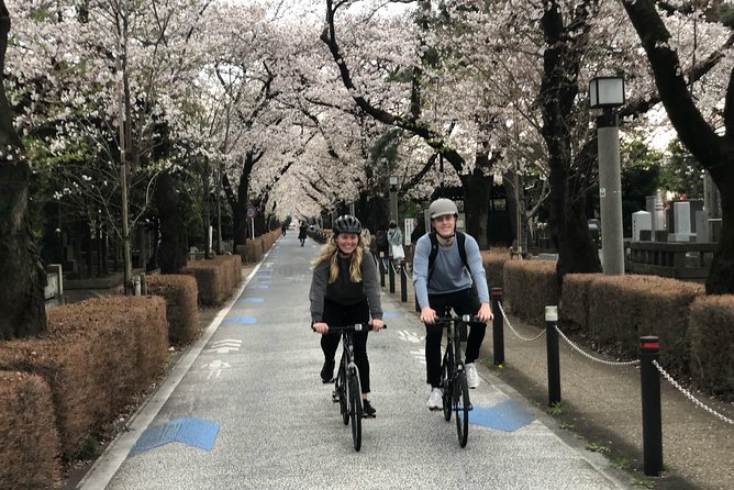 Tokyo Bike Tour: Shibuya & Hidden Tokyo - Umayamichi Park start: an easy meeting point near Shinjuku and Yoyogi