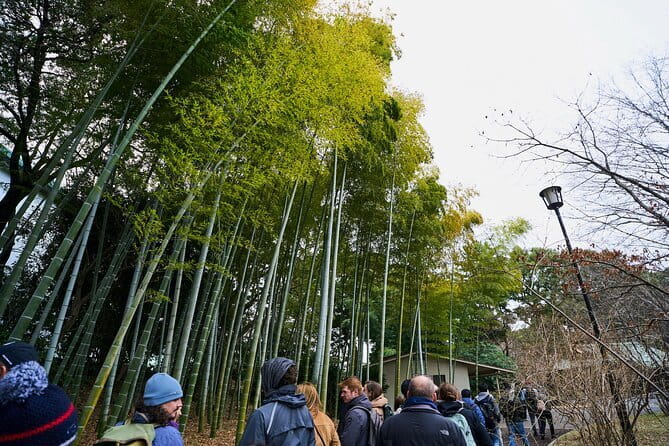 Tokyo Castle & Imperial PalaceーShogun Walking Tour - Stop-by-stop: how the Edo defense story plays out