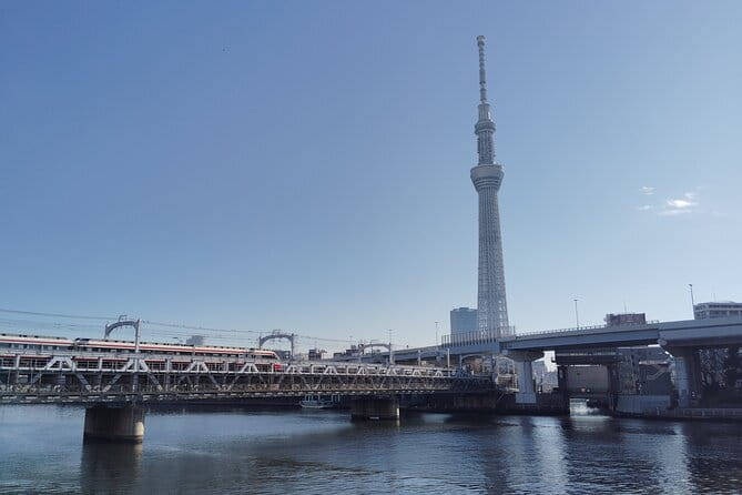 Tokyo Castle & Imperial PalaceーShogun Walking Tour - Practical tips: security rules, shoes, and a comfort break
