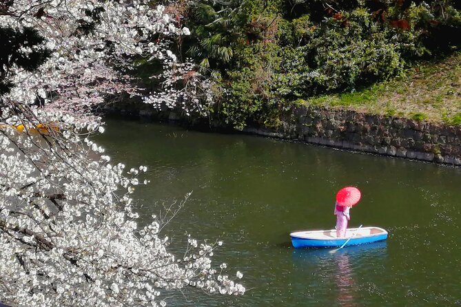 Tokyo Cherry Blossoms blooming spots E-bike Tour, 3hrs - Yasukuni Shrine: Dismount Time and a Park-Style Sakura Moment