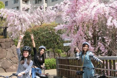 Tokyo Cherry Blossoms blooming spots E-bike Tour, 3hrs - Chidorigafuchi: The Classic Blossom Look-By From the Bike