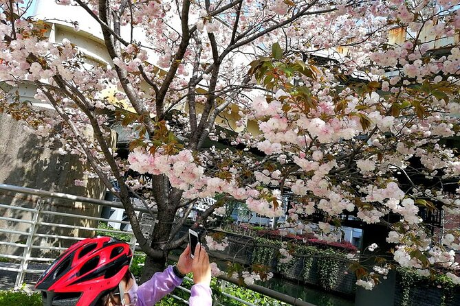 Tokyo Cherry Blossoms blooming spots E-bike Tour, 3hrs - Hibiya Park: Pass-By Beauty With Quick Photo Options
