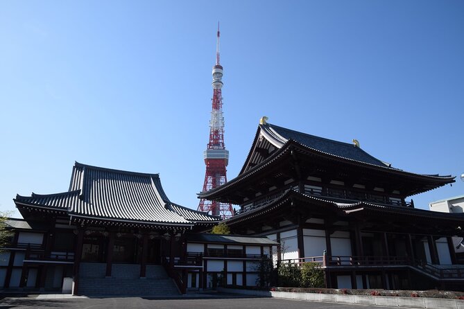Tokyo City 1-Day Private Tour with Bilingual Driver - Meiji Jingu Shrine: a reset button in the middle of the city