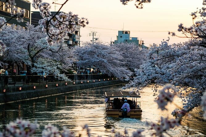 Tokyo City Adventures Private English Tour With Hotel Pickup - Key points that make this tour work
