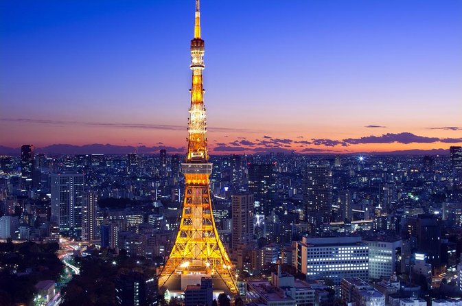 Tokyo City Night View Tour with Native Japanese Driver - Key highlights worth planning around