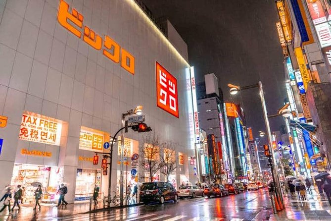 Tokyo City Night View Tour with Native Japanese Driver - Price and logistics: what $208.44 is buying you