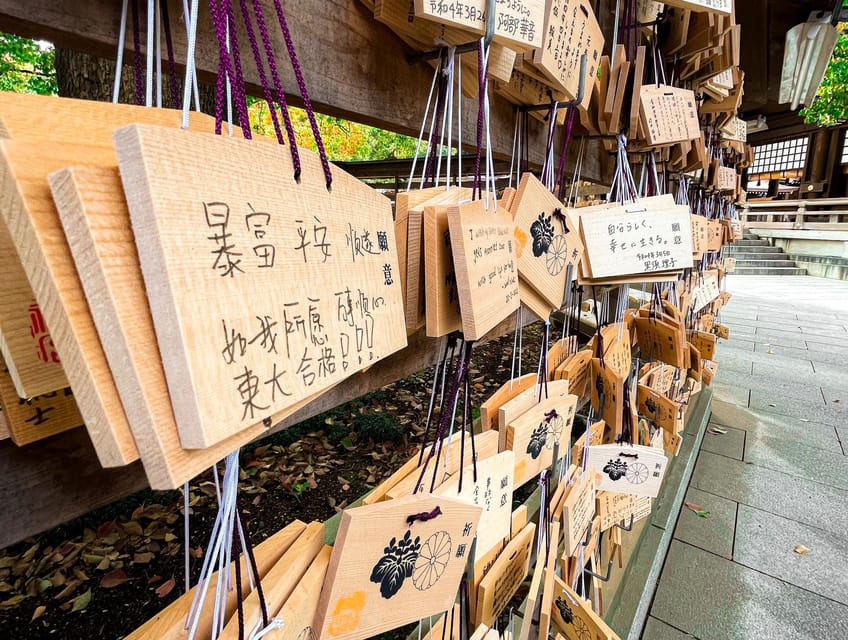 Tokyo: City Tour B - Guide Style, Cultural Immersion, and the Small Eco Touch
