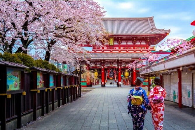 Tokyo City Tour by Private Car & English guide - Key Highlights You’ll Care About