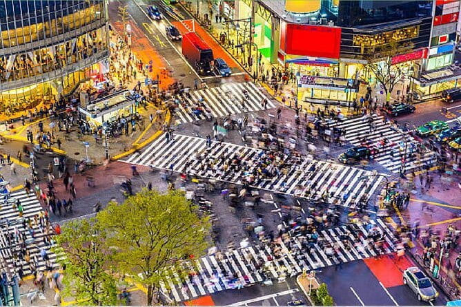 Tokyo City Tour by Private Car & English guide - Tsukiji Fish Market Area: A Street-Food Friendly Hour