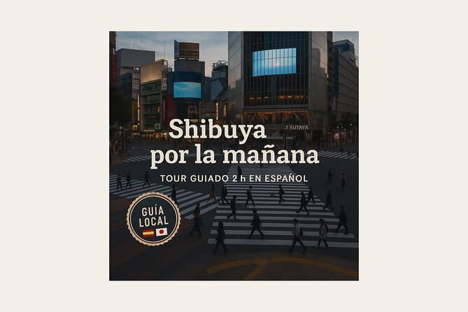 Tokyo City Tour by Private Car & English guide - Odaiba, Shibuya, and the Imperial East Gardens: Big City Contrast