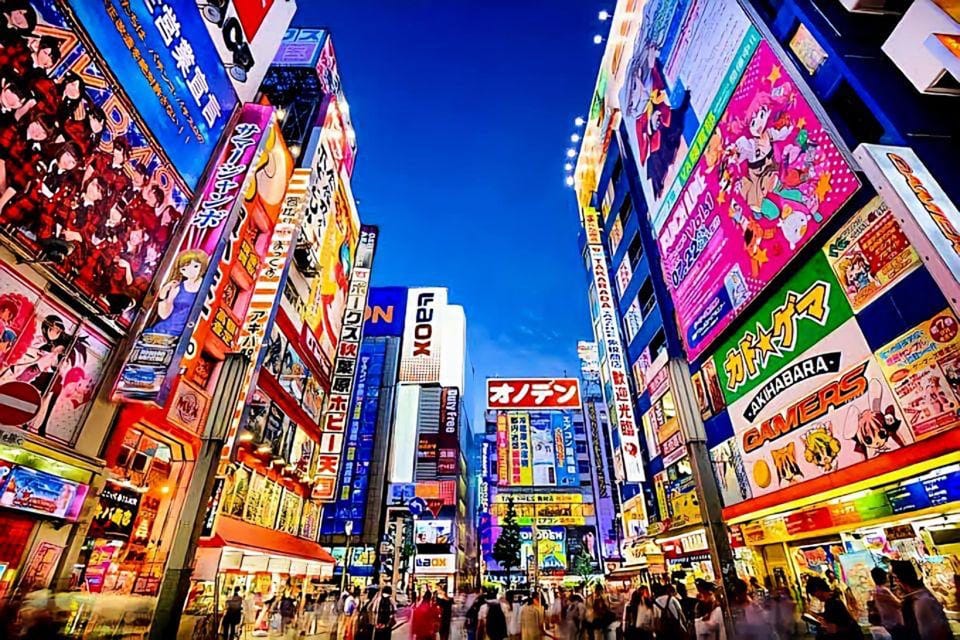 Tokyo: City Tour Tokyo With Driver - Key reasons this Tokyo tour works well