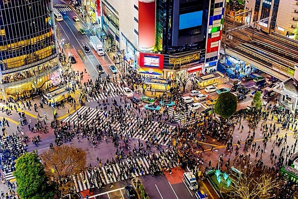 Tokyo: City Tour Tokyo With Driver - Odaiba and Tokyo Bay views: futuristic fun with a real payoff