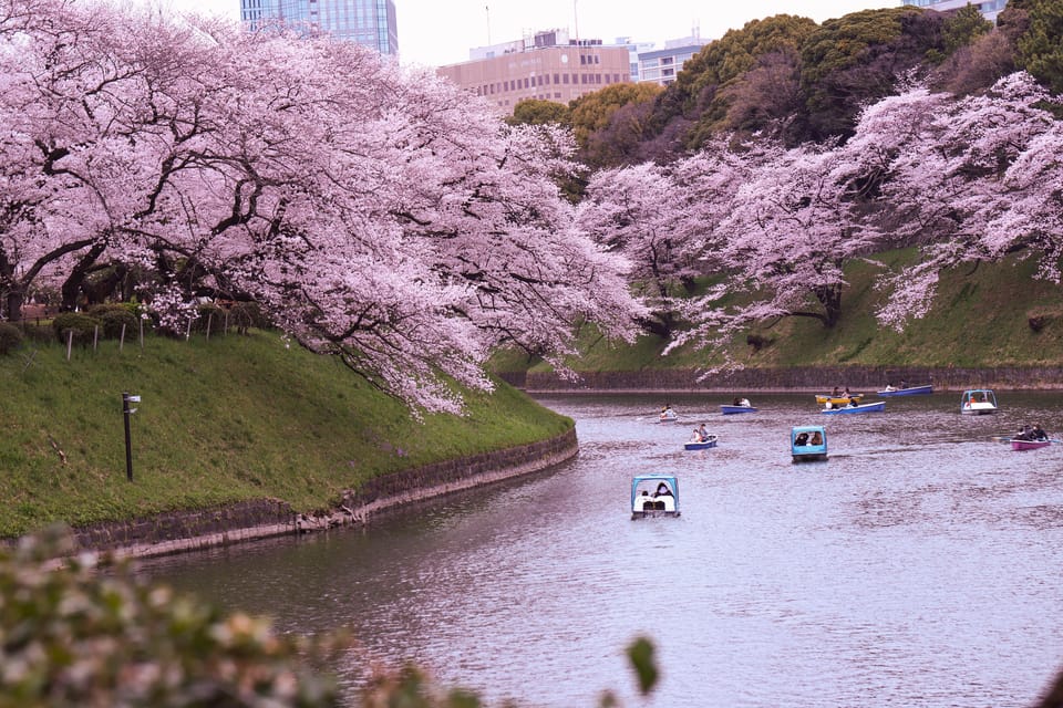 Tokyo: City Tour Tokyo With Driver - Tokyo Skytree Town: skyline views without complicated planning