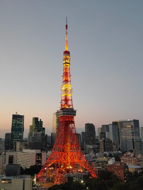Tokyo: City Tour Tokyo With Driver - Meiji Shrine: a forest-feeling moment that’s easy to miss