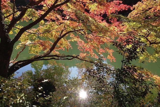 Tokyo Countryside Exploration Private Tour - Key things that make this tour worth your attention