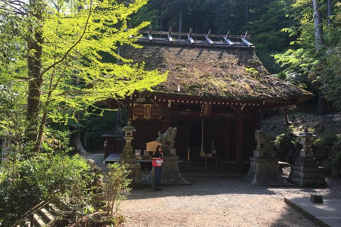 Tokyo Countryside Exploration Private Tour - Ogose-machi and the Dragon Taming Temple carp story