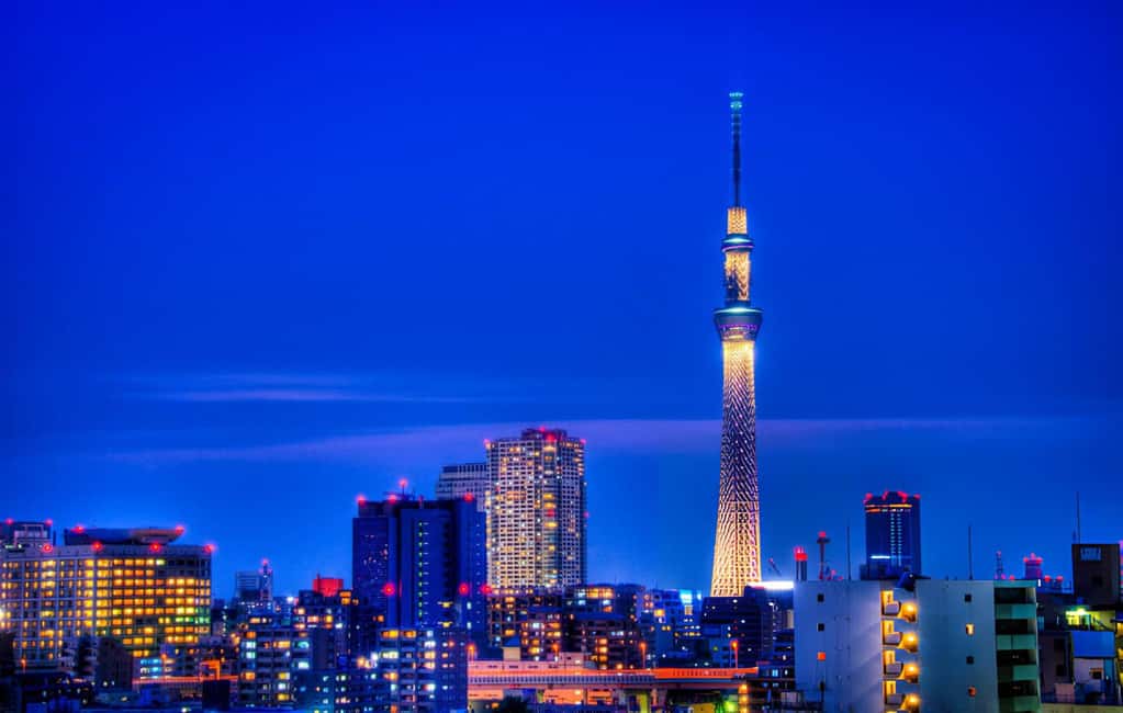 Tokyo: Customizable Day Trip Within Tokyo & English-Driver - Skytree Photo Stop: Go Early for the Best Views