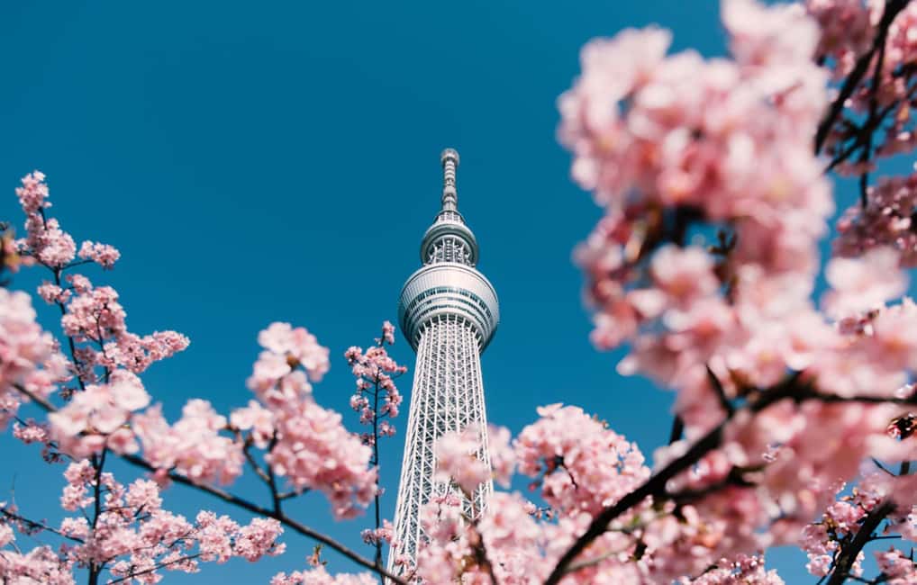 Tokyo: Customizable Day Trip Within Tokyo & English-Driver - Sumida River Cruise and Rainbow Bridge: Tokyo’s Most Scenic Detour